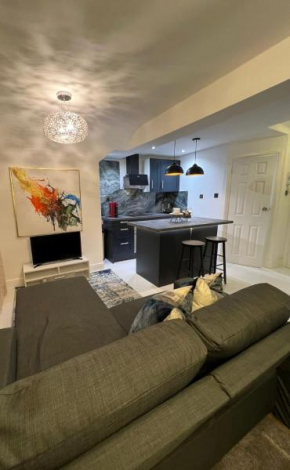 Newly renovated Modern studio apartment in West Kensington